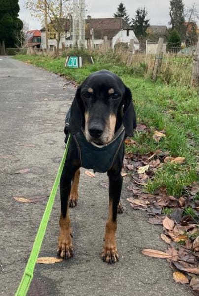 Gina sucht ihre für immer Familie!