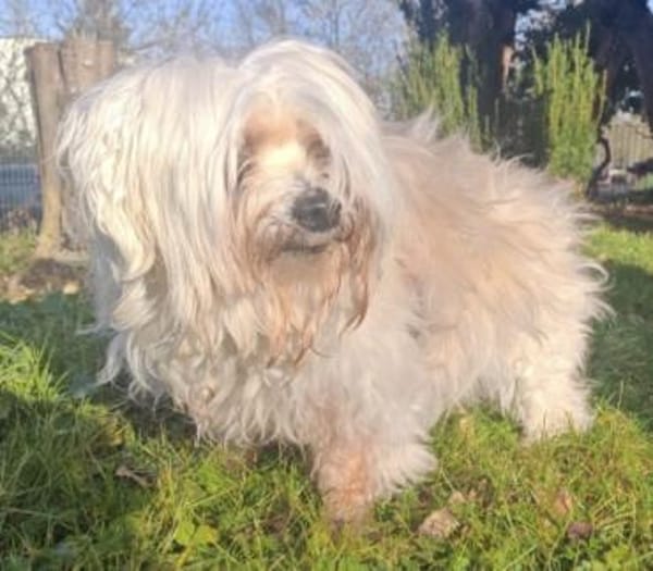 Senioren Sunshine und Tequila