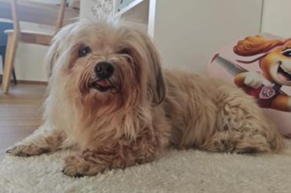 Senioren Sunshine und Tequila