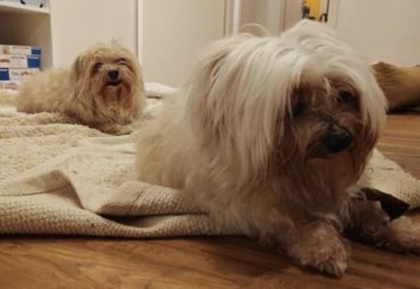 Senioren Sunshine und Tequila