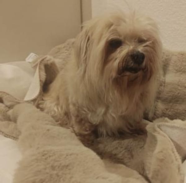 Senioren Sunshine und Tequila