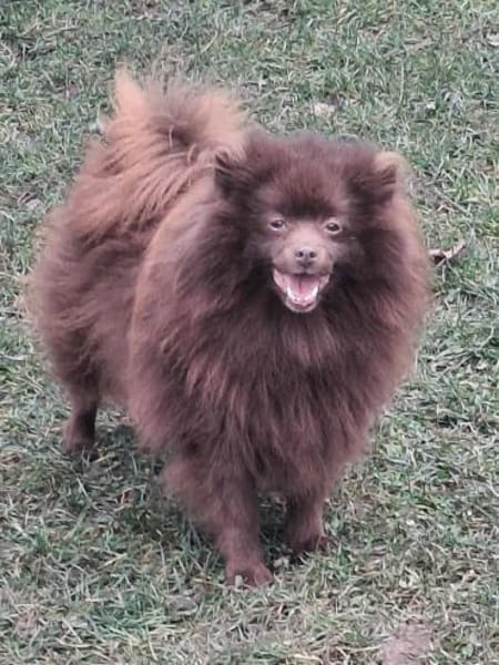 CELSIUS u. GEISHA unzertrennlich