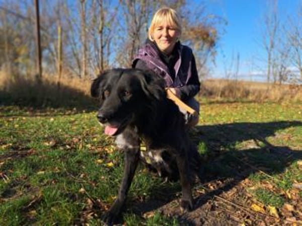 Romy, stubenreines Hundemädchen, ca. 10J