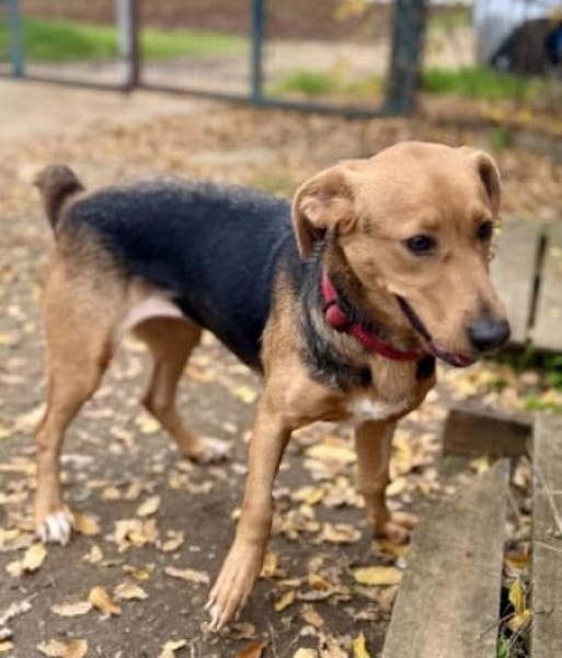 MOKKA - Bereit für neue Abenteuer