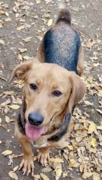 MOKKA - Bereit für neue Abenteuer