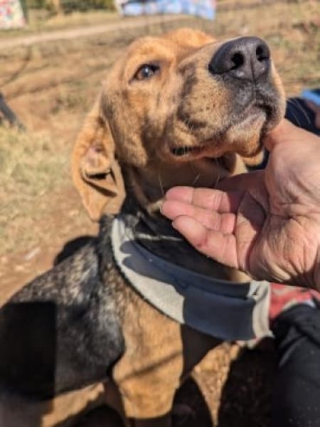 MOKKA - Bereit für neue Abenteuer