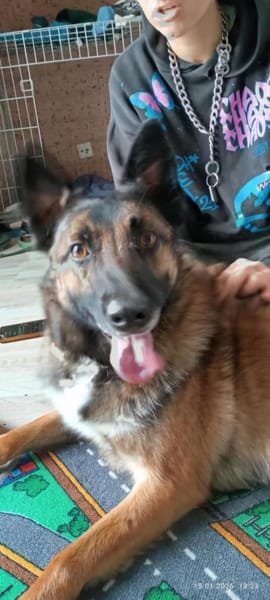 Lotte liebt Mensch und kleine Challenges