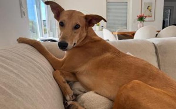 Keylam wartet auf dich!