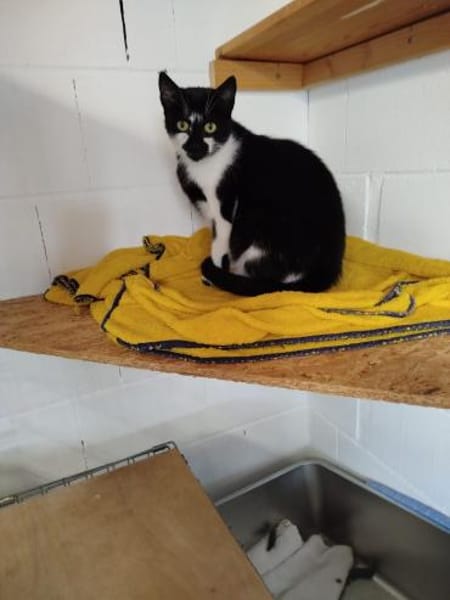 Mehrfach-Mutti  -  Bärbel