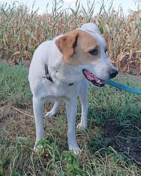 Aktiver Schmusebär Sarp- 49419 Wagenfeld