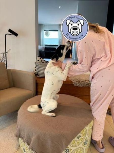 ANYANA -möchte gefallen-