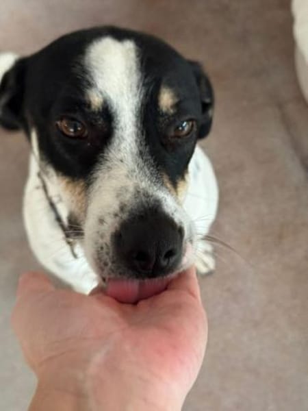 ANYANA -möchte gefallen-