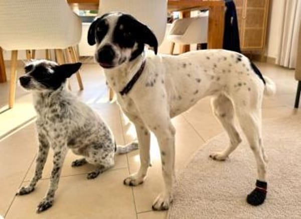 ANYANA -möchte gefallen-