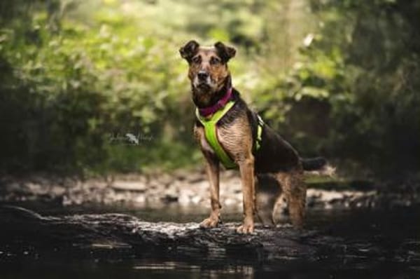 NORAH -aktiv & menschenbezogen-