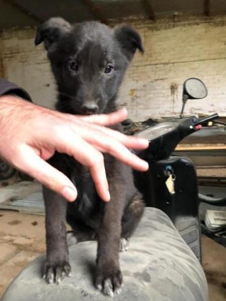 Nina wer zeigt ihr die große weite Welt?