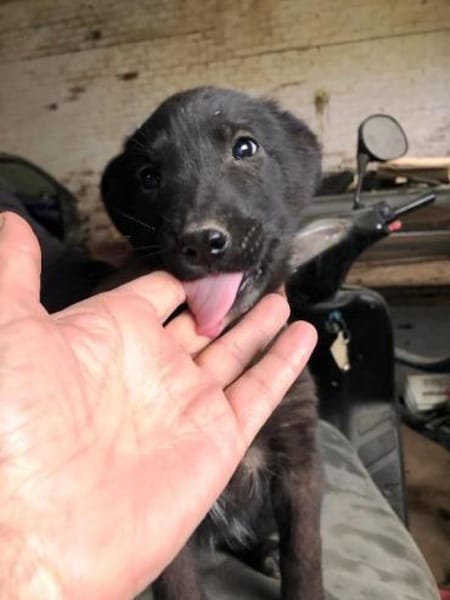 Nina wer zeigt ihr die große weite Welt?