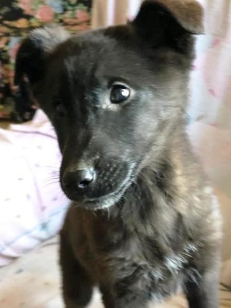 Nina wer zeigt ihr die große weite Welt?