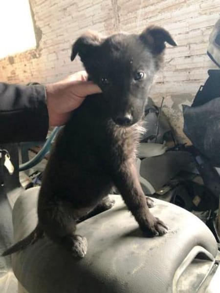 Nina wer zeigt ihr die große weite Welt?