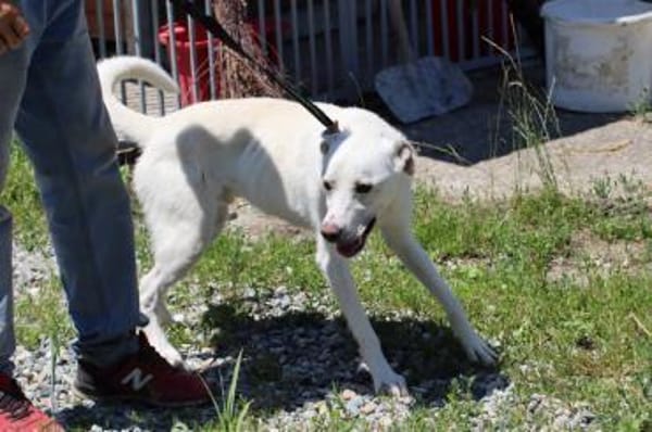 Manü - kinderlieb u. verspielt