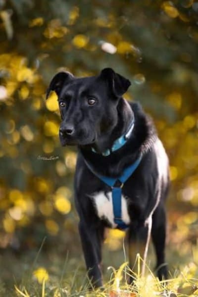 MACY -sucht erfahrene Menschen-