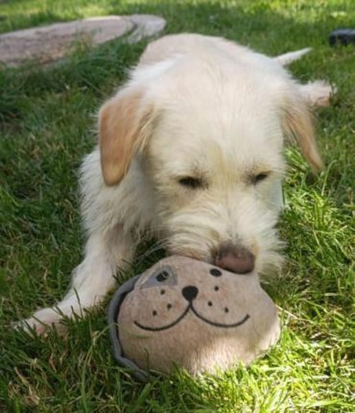 Kira möchte endlich ankommen!