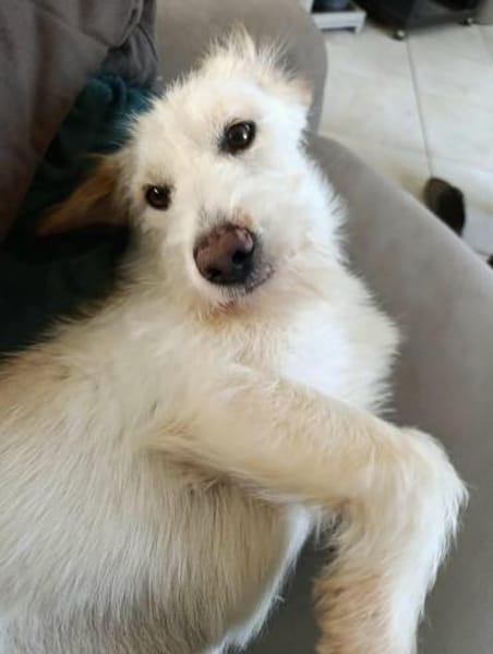 Kira möchte endlich ankommen!