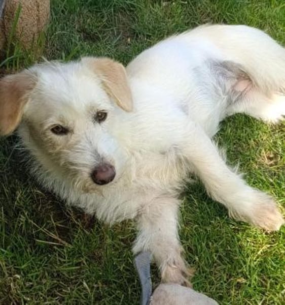 Kira möchte endlich ankommen!