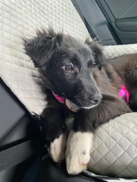 Jaronsucht sein für-immer-Zuhause