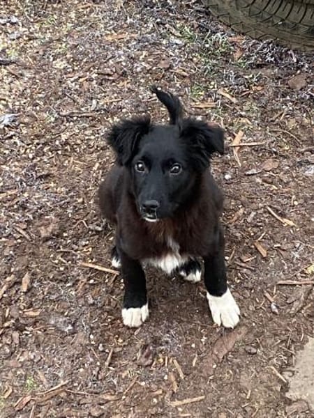 Jaronsucht sein für-immer-Zuhause