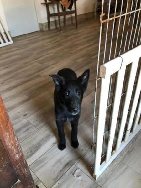 Nisha möchte nun die Welt entdecken