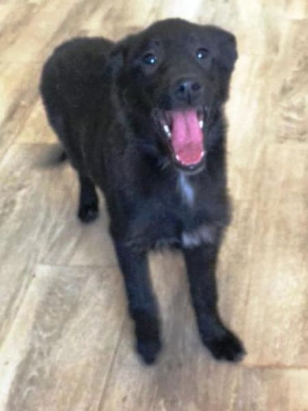 Nisha möchte nun die Welt entdecken