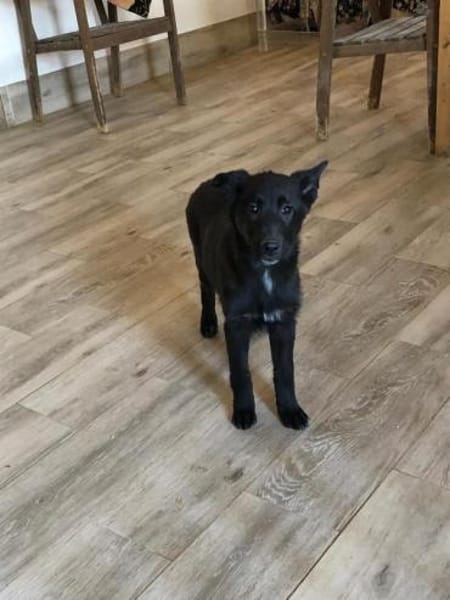 Nisha möchte nun die Welt entdecken