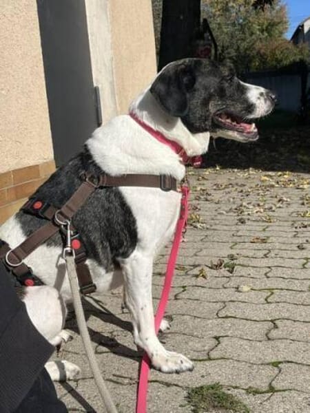 SAHIRA * sensibel und sanft