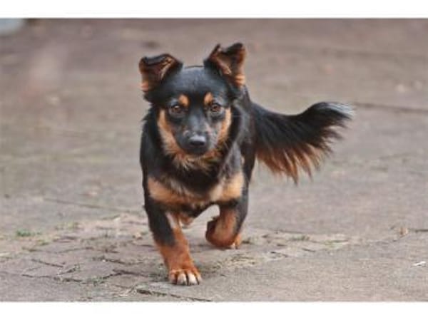 Mirela - wartet in 91080 Spardorf