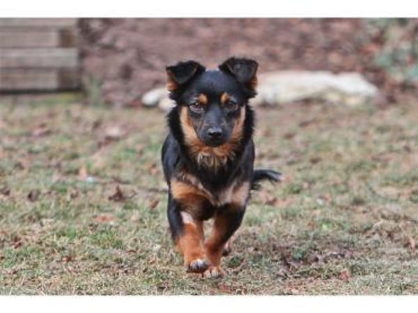 Mirela - wartet in 91080 Spardorf