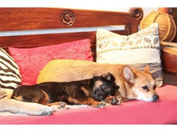 Mirela - wartet in 91080 Spardorf