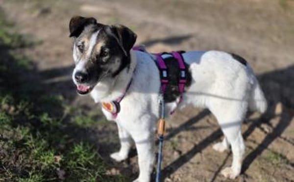 Wer schenkt Liam ein eigenes Zuhause?