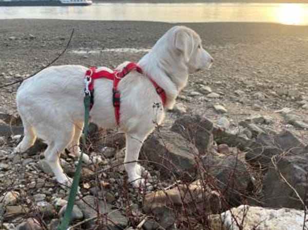 Tau möchte endlich ankommen