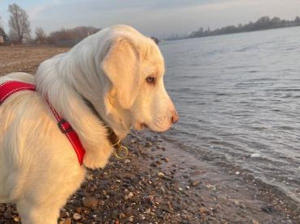 Tau möchte endlich ankommen