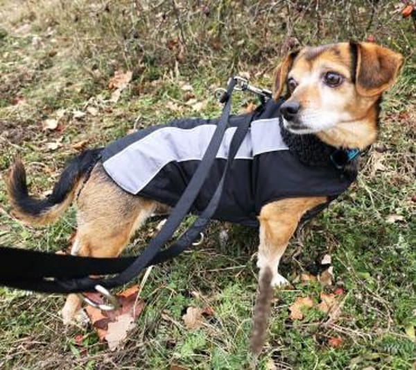 Moritz - begegnet allen Menschen offen