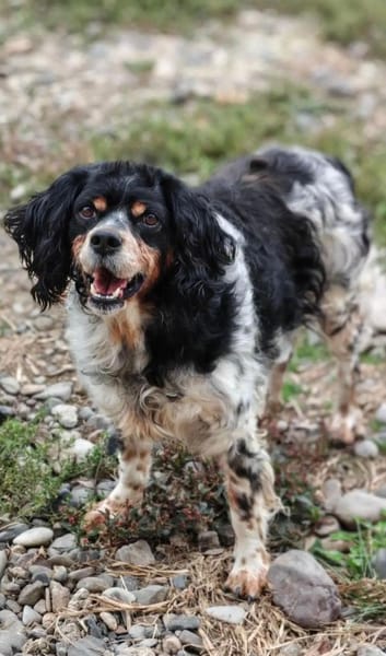 💕Fariba💕 sucht ihre Menschen💕