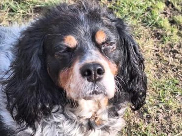 💕Fariba💕 sucht ihre Menschen💕