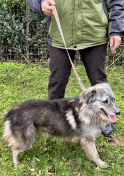 MERCURY wartet auf seine Familie ❤