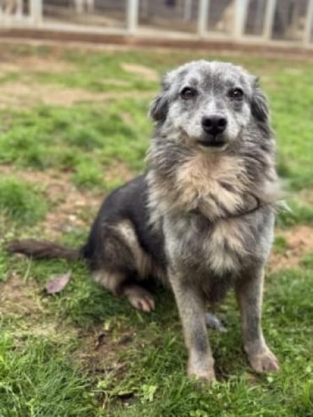 MERCURY wartet auf seine Familie ❤