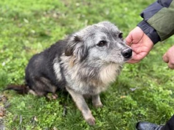 MERCURY wartet auf seine Familie ❤