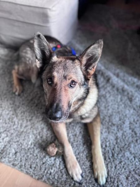 Hosé - kinderlieber Senior