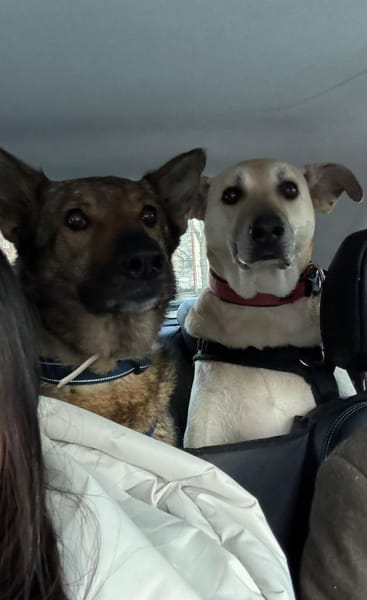 Hosé - kinderlieber Senior