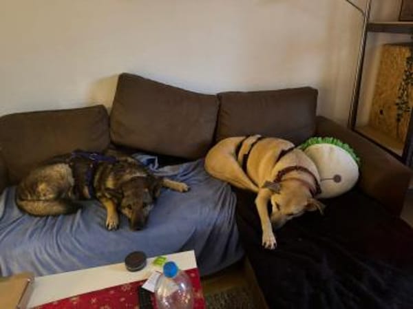 Hosé - kinderlieber Senior