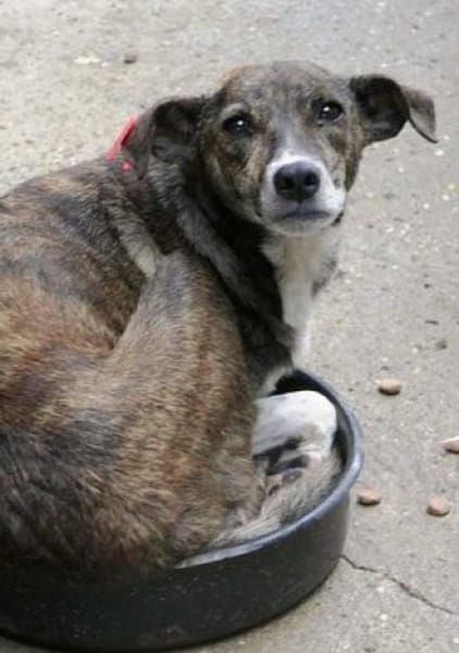 Ganya schließt man sofort ins Herz!