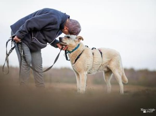 Tolomeo wünscht sich ein Zuhause